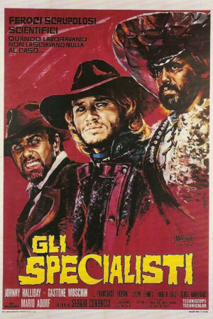 Các chuyên gia